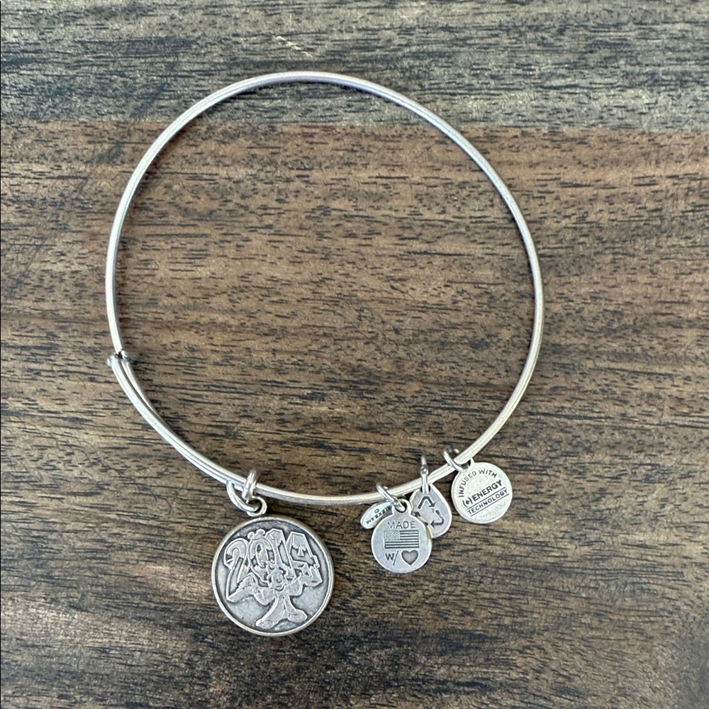 Alex and Ani Disney 2014 Silver Charm Bracelet with Sorcerer Mickey